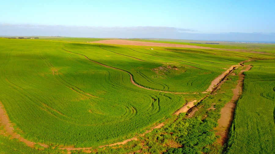 0 Bedroom Property for Sale in Vredenburg Rural Western Cape